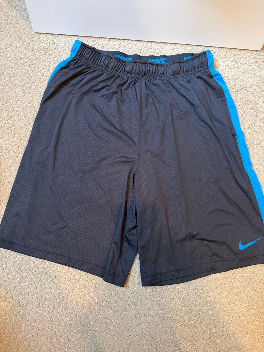 Nike Men’s Black Shorts with Bright Blue Accents